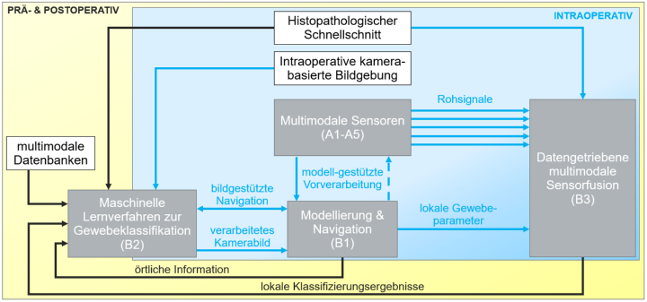 Interaktion der B-Projekte. Unterteilung in intraoperative Klassifikation (blau) sowie prä-und postoperative Diagnose (gelb).