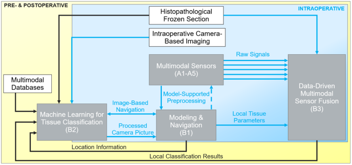 Interaction of the B projects.